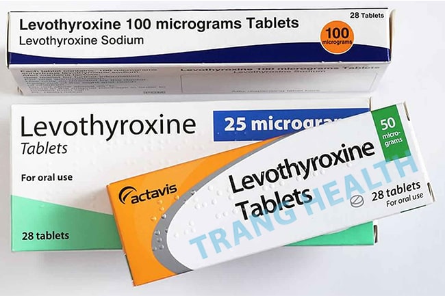 thuoc levothyroxine
