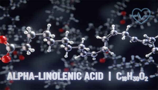 axit alpha linolenic